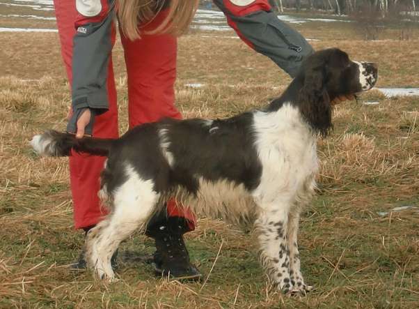 beruska_8mesicu beruska_8mesicu.jpg, 40 kB