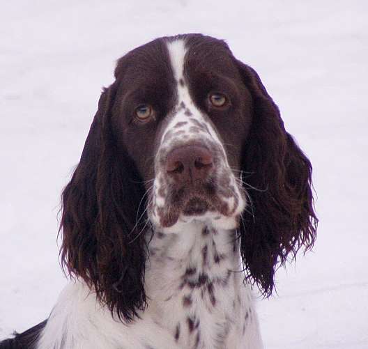 beruska_8mesicu_portret1 beruska_8mesicu_portret1.jpg, 20 kB