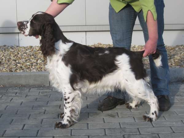 beruska_9mesicu beruska_9mesicu.jpg, 28 kB