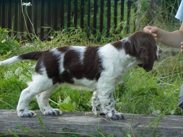 beruska_9tydnu1 beruska_9tydnu1.jpg, 39 kB