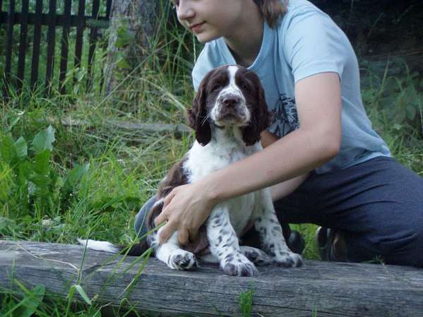 beruska_9tydnu2 beruska_9tydnu2.jpg, 39 kB