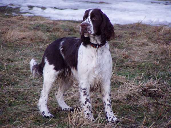 beruska_leden2011_3.jpg, 41 kB