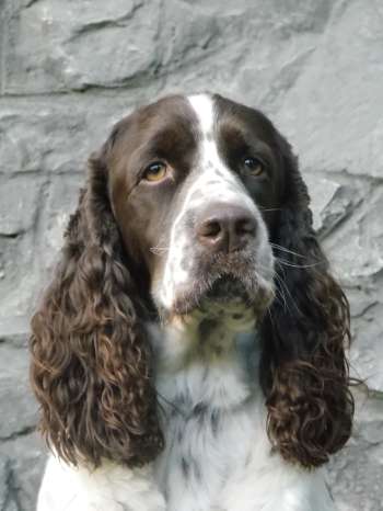 beruska_prosince2012_portret1 beruska_prosince2012_portret1.jpg, 18kB