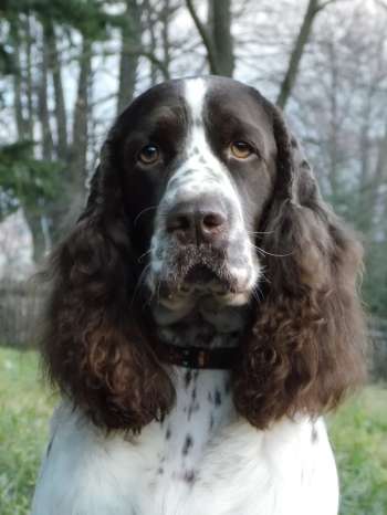 beruska_prosince2012_portret2 beruska_prosince2012_portret2.jpg, 17kB