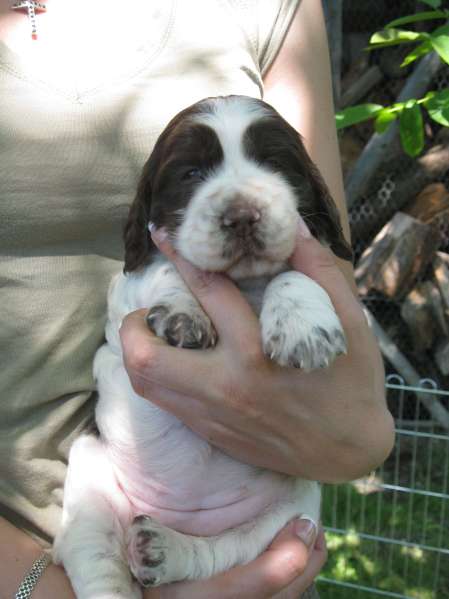 blair_24dni blair_24dni.jpg, 25 kB