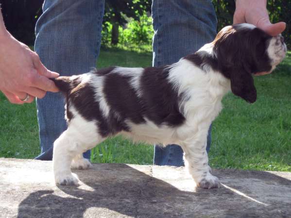 blair_4tydny blair_4tydny.jpg, 31 kB