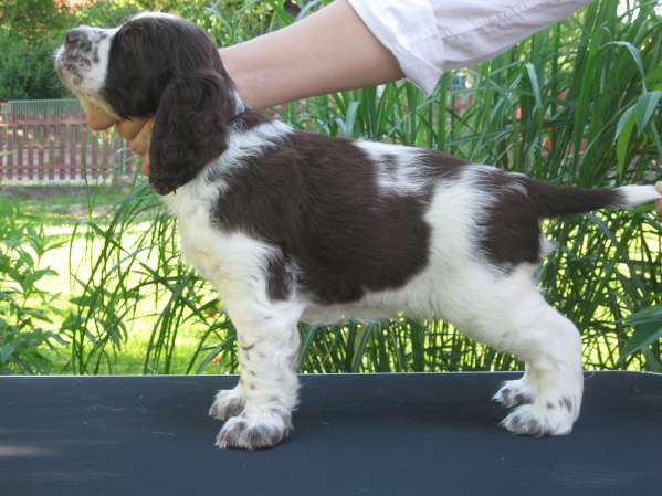 blair_7tydnu blair_7tydnu.jpg, 36 kB