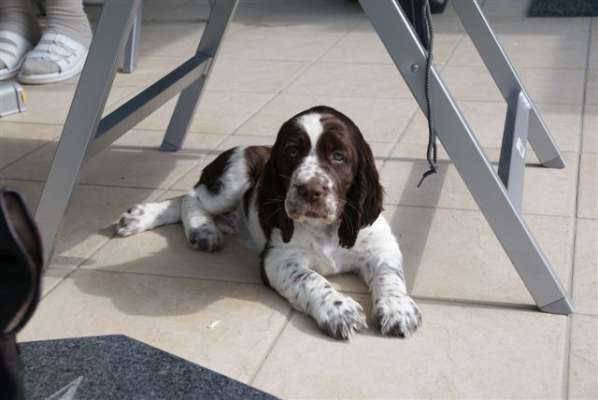 borgia2 borgia2.jpg, 22 kB