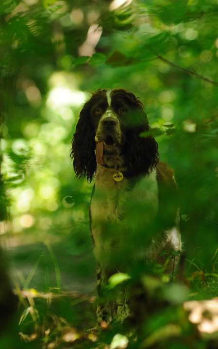 borgia_15mesicu_1 borgia_15mesicu_1.jpg, 31kB