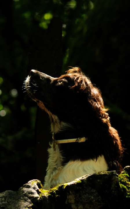 borgia_15mesicu_3 borgia_15mesicu_3.jpg, 25kB