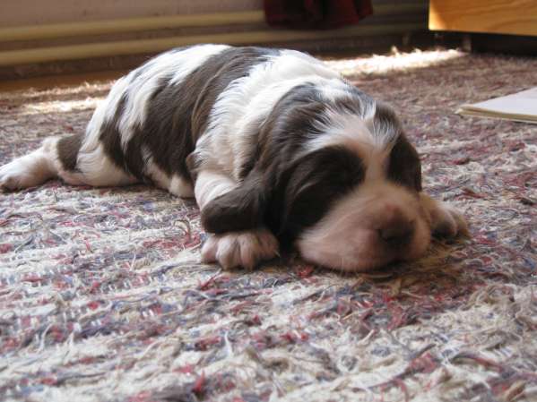 borgia_16dni borgia_16dni.jpg, 38 kB