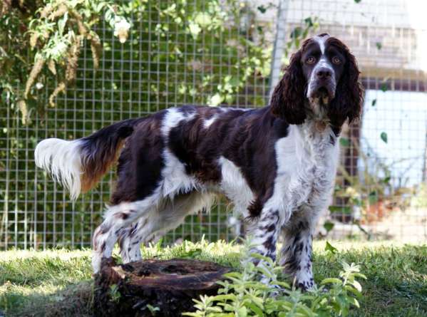 borgia_18mesicu_1 borgia_18mesicu_1.jpg, 45kB