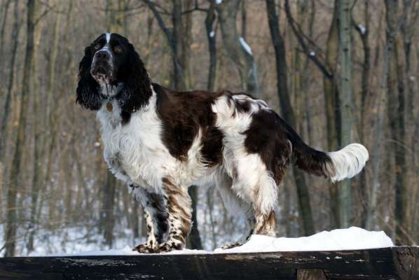 borgia_22mesicu_2 borgia_22mesicu_2.jpg, 29kB