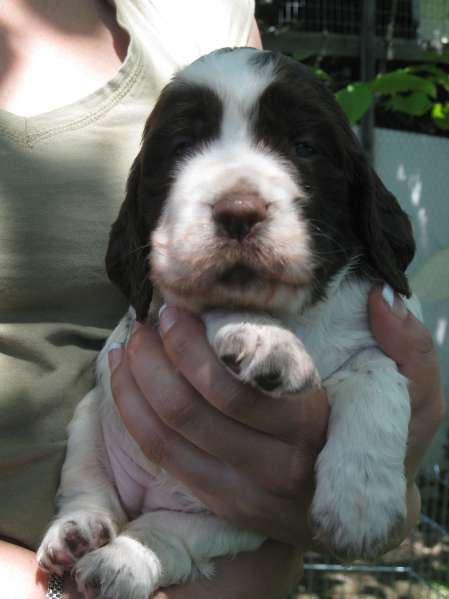 borgia_24dni borgia_24dni.jpg, 22 kB