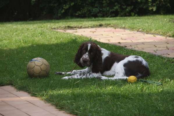 borgia_3mesice borgia_3mesice.jpg, 27 kB