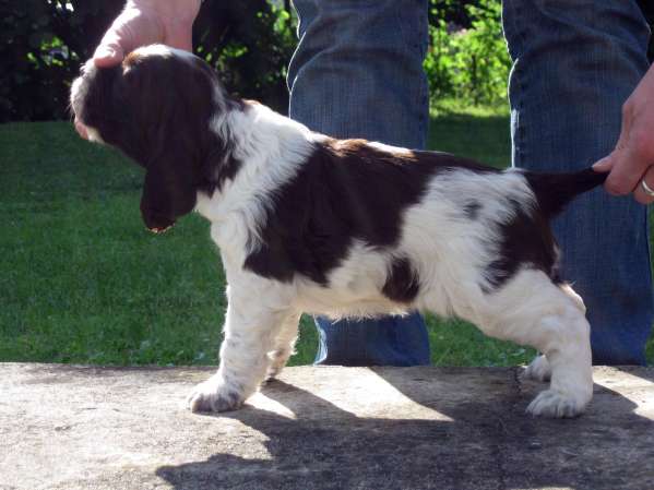 borgia_4tydny borgia_4tydny.jpg, 30 kB