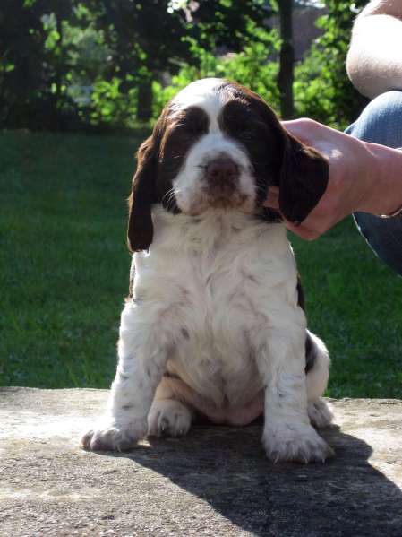 borgia_4tydny_portret borgia_4tydny_portret.jpg, 31 kB