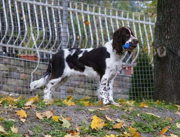 borgia_6mesicu_1 borgia_6mesicu_1.jpg, 50 kB