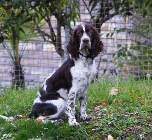 borgia_6mesicu_2 borgia_6mesicu_2.jpg, 37 kB