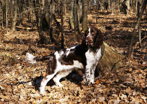 borgia_7mesicu1 borgia_7mesicu1.jpg, 61 kB