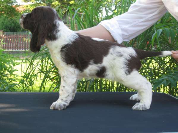 borgia_7tydnu borgia_7tydnu.jpg, 36 kB