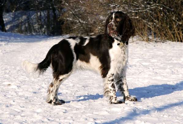 borgia_8mesicu_2 borgia_8mesicu_2.jpg, 34 kB