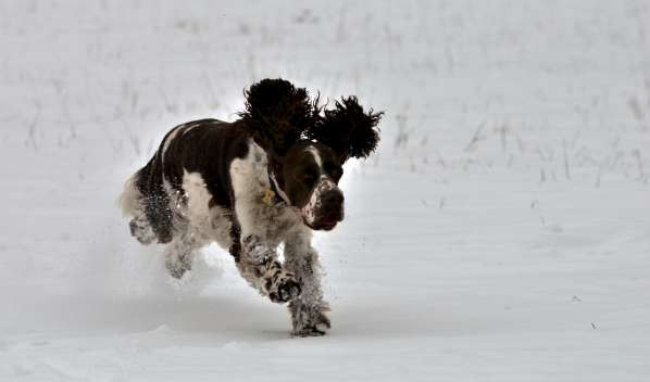 borgia_unor2013_1 borgia_unor2013_1.jpg, 12kB