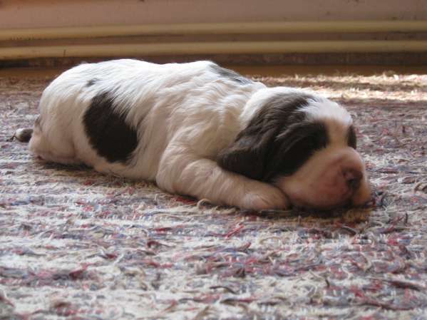 bridget_16dni bridget_16dni.jpg, 34 kB