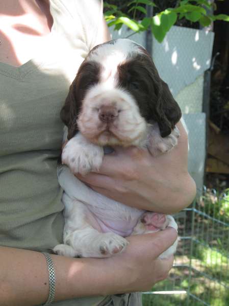 bridget_24dni bridget_24dni.jpg, 23 kB