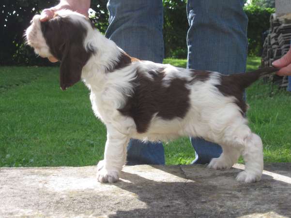 bridget_4tydny bridget_4tydny.jpg, 30 kB