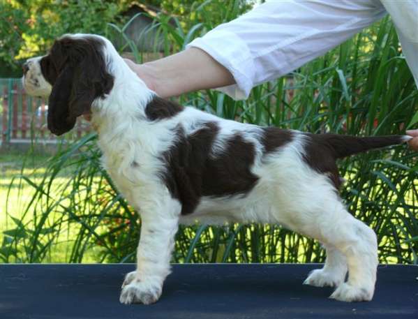 bridget_7tydnu_2 bridget_7tydnu_2.jpg, 36 kB