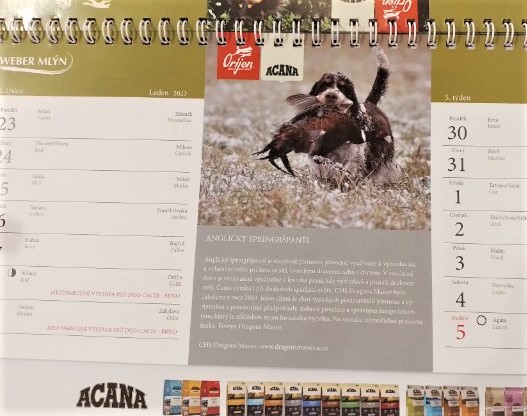 ejka_kalendar.jpg, 63kB