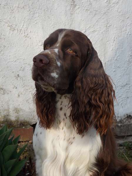 ekkard_portret_2roky.jpg, 29kB