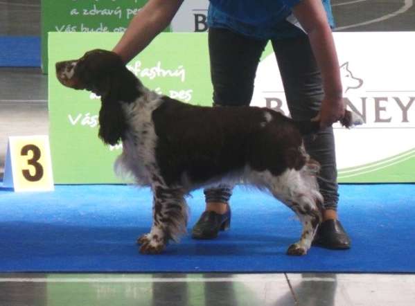 eya_praha2016_duben.jpg, 22kB