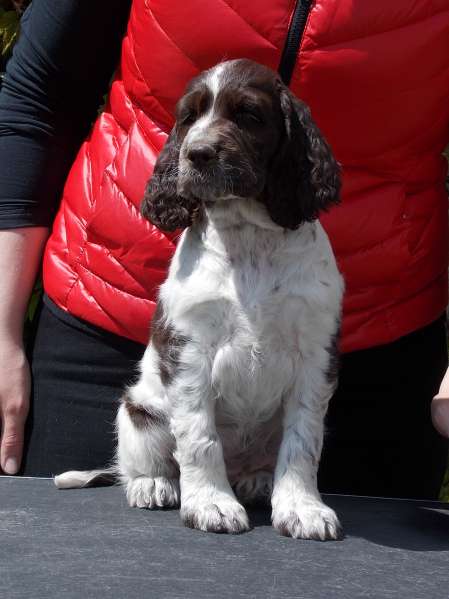 fantasy_8tydnu_portret.jpg, 28kB