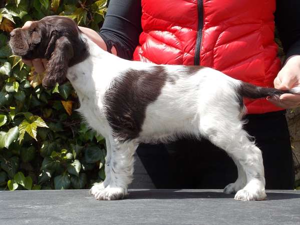 fantasy_8tydnu_postoj.jpg, 35kB