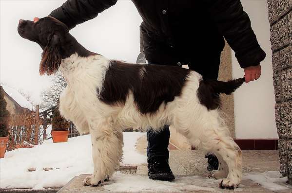 forrest_11mesicu.jpg, 30kB