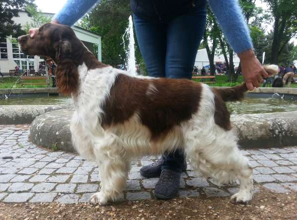 forrest_3roky.jpg, 43kB