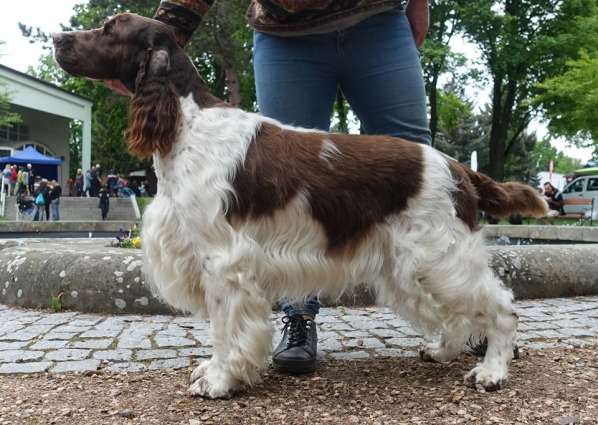 forrest_3roky_litomerice.jpg, 44kB