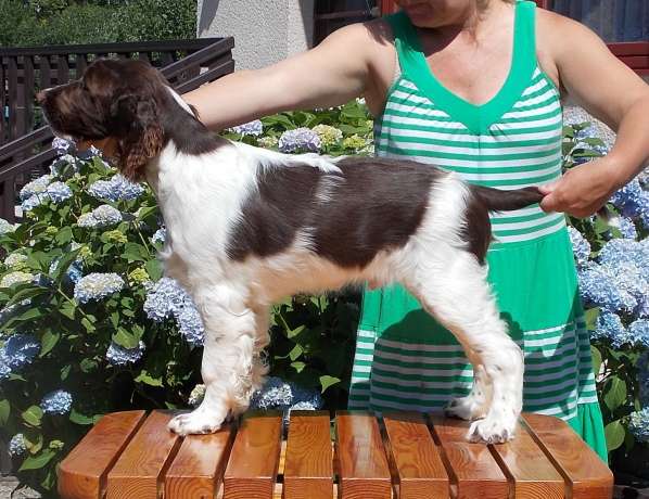 forrest_4mesice.jpg, 51kB