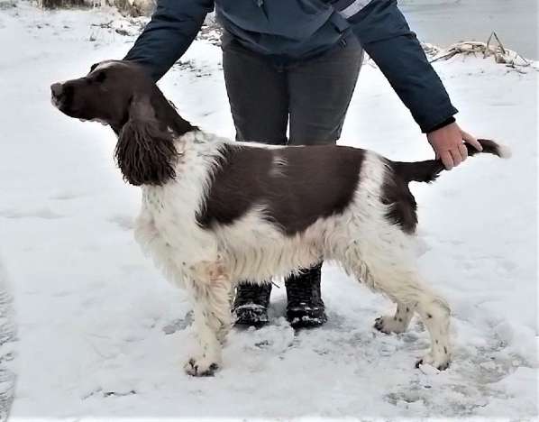 forrest_7let.jpg, 26kB