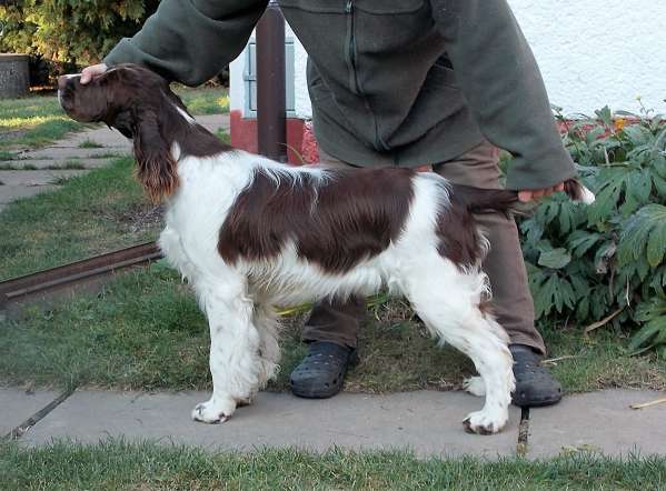 forrest_7mesicu.jpg, 40kB