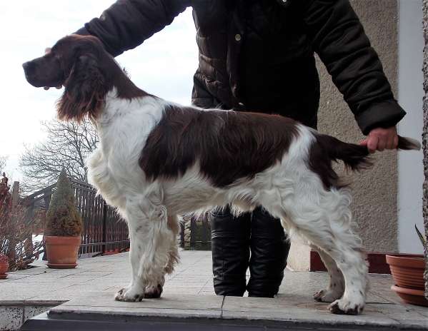 forrest_8mesicu1.jpg, 35kB