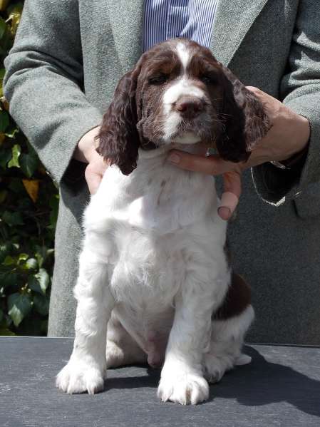 forrest_8tydnu_portret.jpg, 34kB