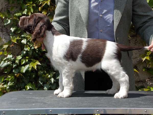 forrest_8tydnu_postoj.jpg, 42kB