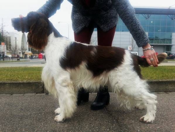 forrest_olobrno2018.jpg, 39kB