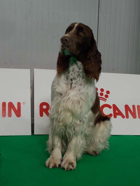 forrest_praha4_2017_portret.jpg, 17kB