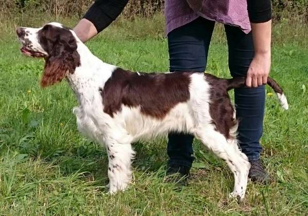 frost_6mesicu.jpg, 49kB