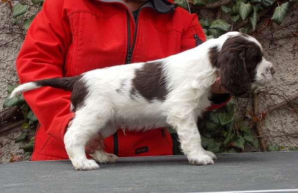 frost_6tydnu.jpg, 31kB