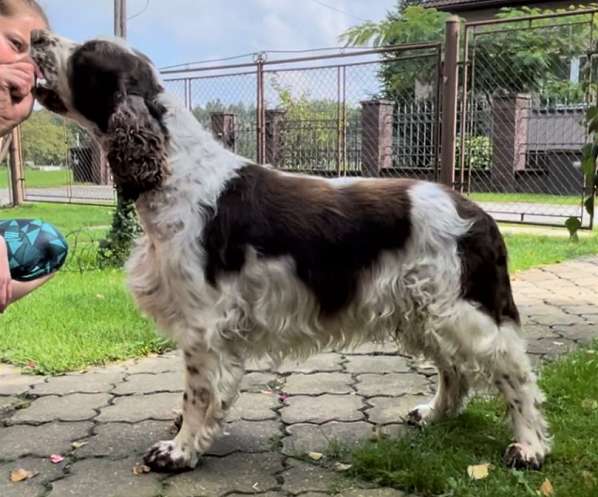 frost_7let_1.jpg, 45kB